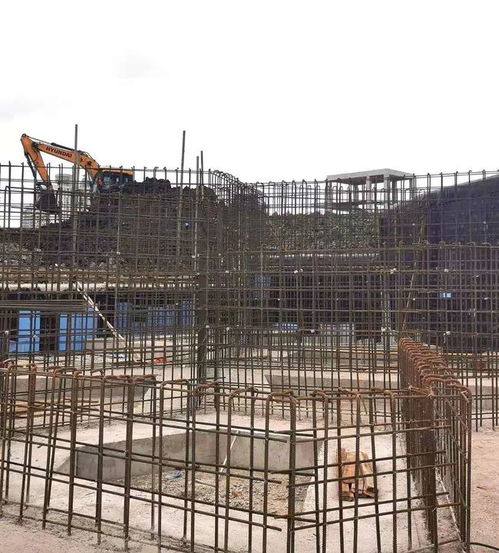 整體景觀月底將初現(xiàn) 楊浦這座在建城市公園有新進展