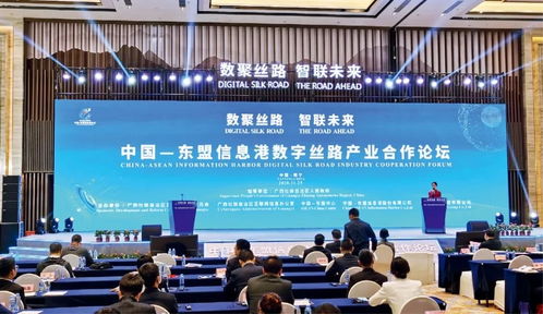 推動 數(shù)字絲綢之路 發(fā)展 構(gòu)建全球數(shù)字合作新格局