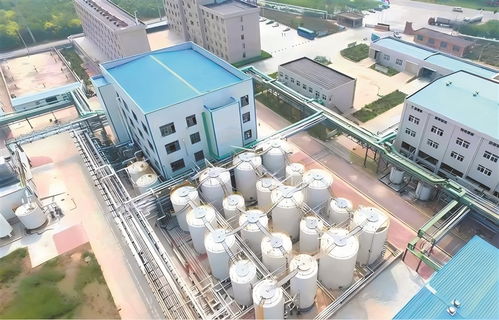 高青 以工業技改驅動引擎，加速企業轉型升級與高質量發展