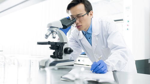 玩具檢測認證 構筑安全防線，驅動行業高質量發展